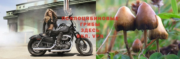 круглые Вязники