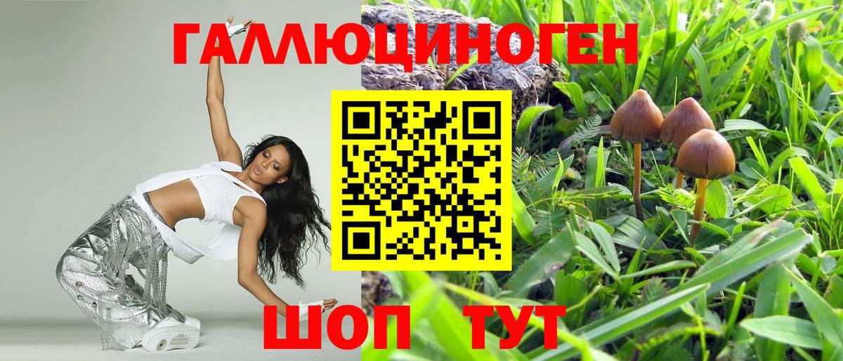 Псилоцибиновые грибы GOLDEN TEACHER Ноябрьск