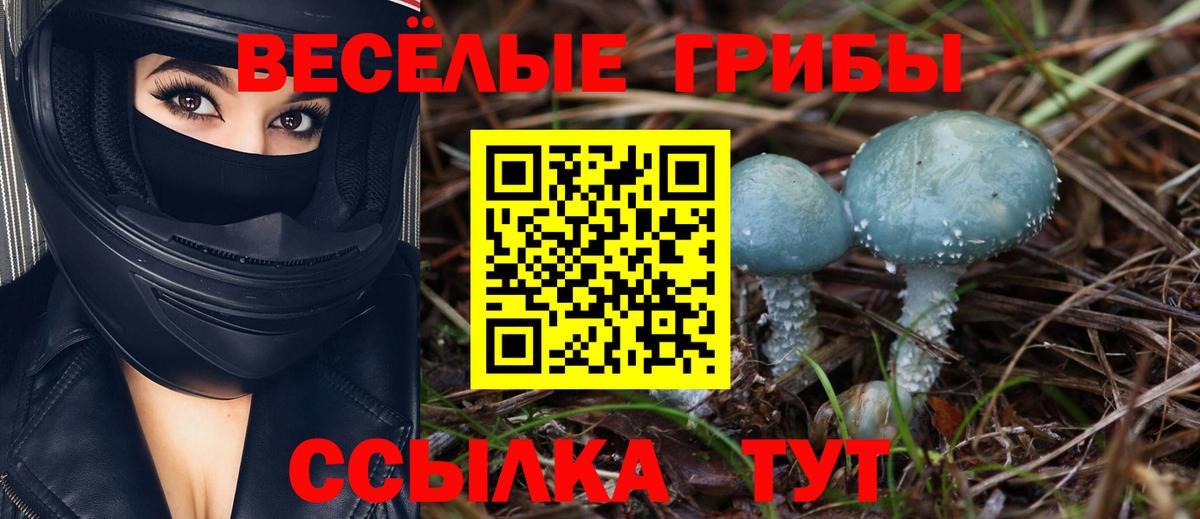 Ноябрьск  Псилоцибиновые грибы ЛСД  Вход с VPN  Псилоцибиновые грибы прущие грибы 
